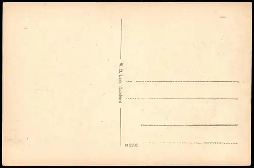 Ansichtskarte Itzehoe Breitenburger Schloß 1928