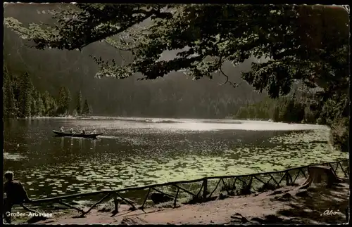 Ansichtskarte Bayerisch Eisenstein Arbersee im Bayerischen Wald 1960