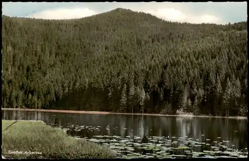 Ansichtskarte Bayerisch Eisenstein Großer Arbersee mit Arber-Gipfel 1960