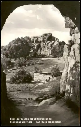 Blankenburg (Harz) Burg Regenstein Blick d.d. Raubgrafentunnel 1972