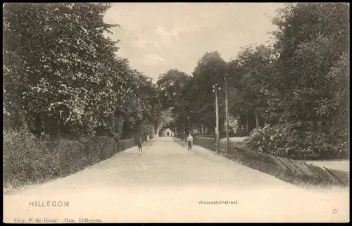 Postkaart Hillegom Weeresteinstraat Straßen Ansicht 1905
