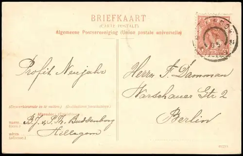 Postkaart Hillegom Weeresteinstraat Straßen Ansicht 1905
