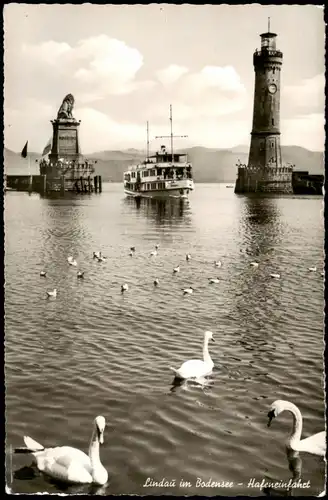 Ansichtskarte Lindau (Bodensee) Hafeneinfahrt Dampfer Schwäne 1962