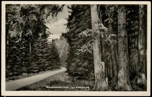 Ansichtskarte Blankenhain Im Kohlgrung Waldweg 1953