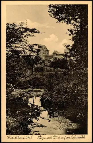 Giersleben-Saale-Wipper Wipper Partie mit Blick auf die Salzmühle 1925