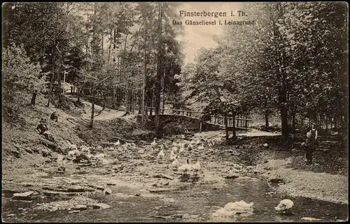 Ansichtskarte Finsterbergen-Friedrichroda Das Gänseliesel i. Leinagrund 1910
