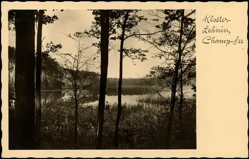 Ansichtskarte Kloster Lehnin Partie am Champ-See 1920