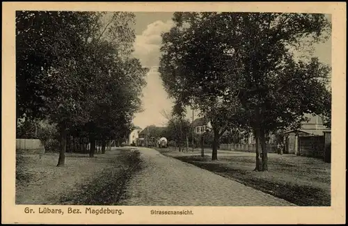 Ansichtskarte Lübars (Jerichower Land)-Möckern Straße - Bz. Magdeburg 1916