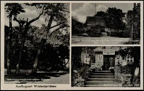 Ansichtskarte Wüstenjerichow-Möckern 3 Bild: Störche, Gasthaus 1935