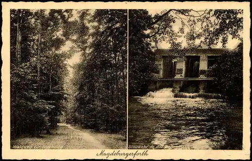 Magdeburgerforth-Möckern Waldweg zur Annibuche  Stauwehr  Badeanstalt 1910