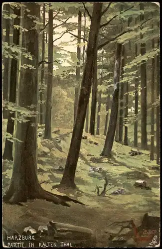 Ansichtskarte Bad Harzburg Umlandpartie - Wald, Künstlerkarte 1916