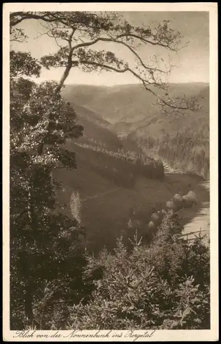Ansichtskarte Zorge Blick von der Nonnenbank 1928
