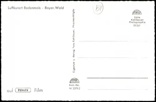 Ansichtskarte Bodenmais Panorama-Ansicht Ort im Bayer. Wald 1960