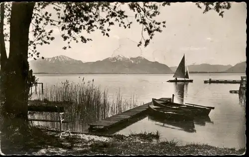 Ansichtskarte Chiemsee Chiemsee Blick zum Hochfelln u. Hochgern 1960