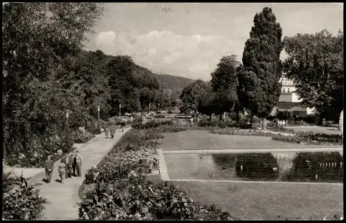 Ansichtskarte Bad Kissingen Partie im Rosengarten (Park) 1964