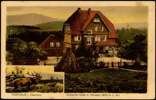 Ansichtskarte Torfhaus (Harz)-Altenau 2 Bild: Hirsch, Wulferts Hotel 1923