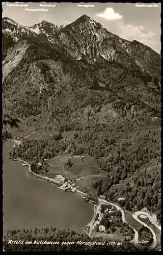 Urfeld-Kochel am See Walchensee Panorama Blick gegen Herzogstand 1960