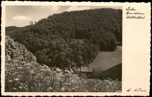 Sankt Andreasberg-Braunlage Umland-Ansicht Partie im Wellbechtal 1950