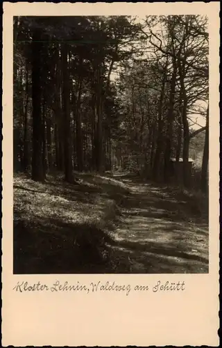 Ansichtskarte Lehnin-Kloster Lehnin Umland-Partie Waldweg Am Schütt 1920