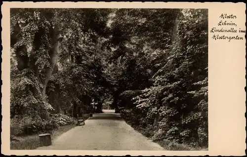 Ansichtskarte Lehnin-Kloster Lehnin Lindenallee im Klostergarten 1920