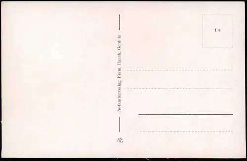 Lehnin-Kloster Lehnin Umland-Ansicht Wildwiese mit Wald Partie 1920