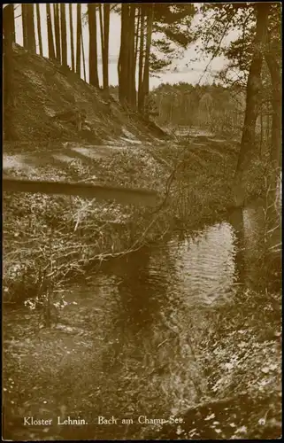 Lehnin-Kloster Lehnin Bach am Champ-See Umland-Ansicht Echtfoto-AK 1920