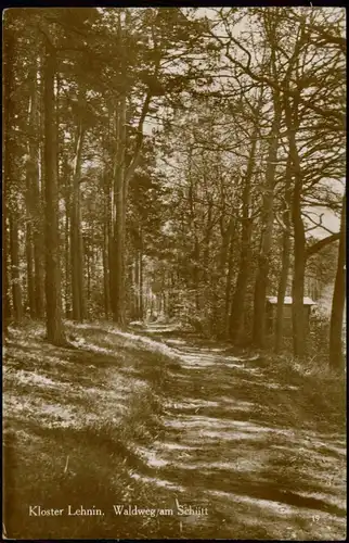 Lehnin-Kloster Lehnin Waldweg am Schütt Umland-Ansicht Echtfoto-AK 1920