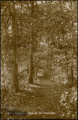 Ansichtskarte Lehnin-Kloster Lehnin Echtfoto-AK Waldweg am Colpin-See 1920