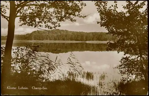 Lehnin-Kloster Lehnin Partie am Champ-See Umland Ansicht Echtfoto-AK 1920