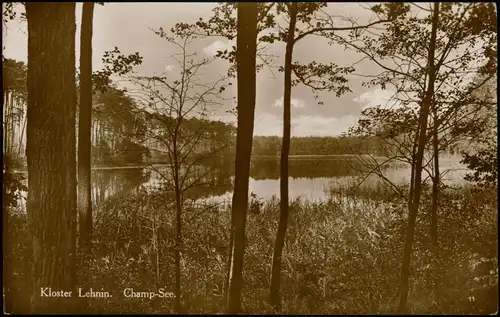 Ansichtskarte Lehnin-Kloster Lehnin Umland-Ansicht Champ-See Partie 1920