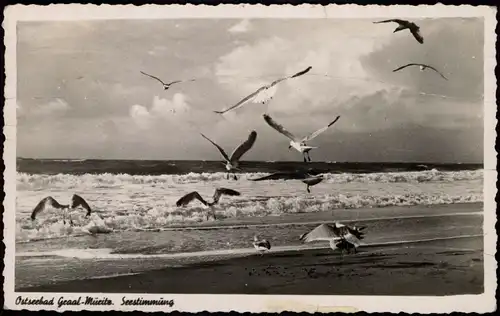 Ansichtskarte Graal-Müritz Strand Ostsee, Seestimmung mit Möven 1958/1955