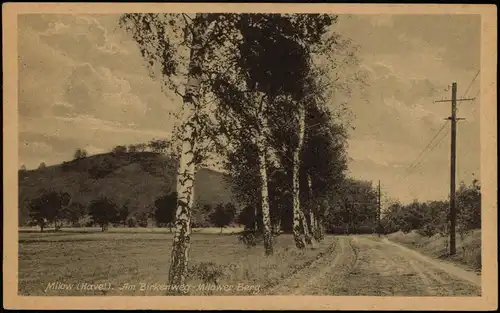 Ansichtskarte Milow-Milower Land Am Birkenweg Milower Berg 1952