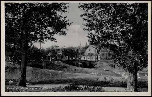 Ansichtskarte Giersleben-Saale-Wipper Ostharz Partie a. d. Wipper 1910