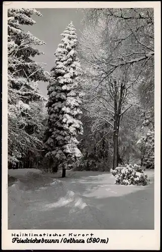 Friedrichsbrunn Umland-Ansicht (verschneite Wald-Partie) DDR AK 1963