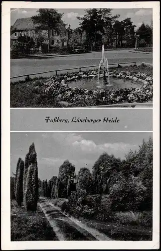 Müden (Örtze)-Faßberg 2-Bild-Karte Strassen Ansicht & Lüneburger Heide 1958