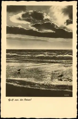 .Mecklenburg-Vorpommern Stimmungsbild Natur Ostsee Allgemein 1950