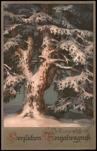 Ansichtskarte  Neujahr/Sylvester - Künstlerkarte Nadelbaum im Schnee 1914