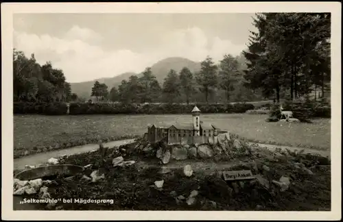 Ansichtskarte Mägdesprung-Harzgerode Selkemühle 1956