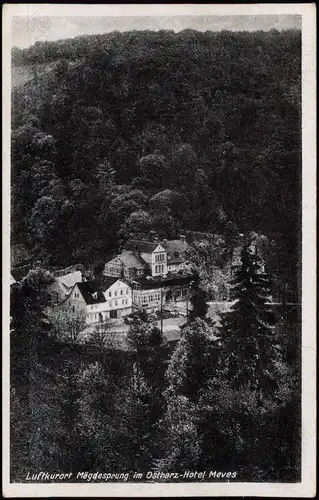 Ansichtskarte Mägdesprung-Harzgerode Harz-Hotel Meves 1953