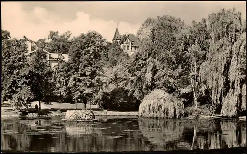 Ansichtskarte Bad Sulza Schwanentelch im Kurpark DDR AK 1962/1961