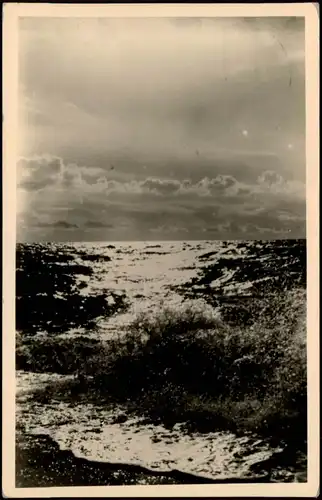 .Mecklenburg-Vorpommern Ostsee Allgemein Blick auf die See DDR AK 1960