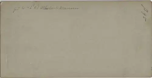 Almbachklamm Schellenberg Markt Holzfäller CDV Kabinettfoto 1893 3DStereoskopie