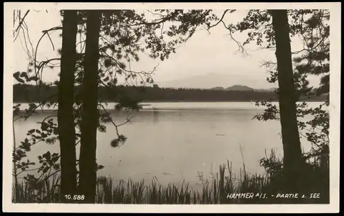 Postcard Hammer am See Hamr na Jezeře Seepartie 1939  gel. Mischfrankatur