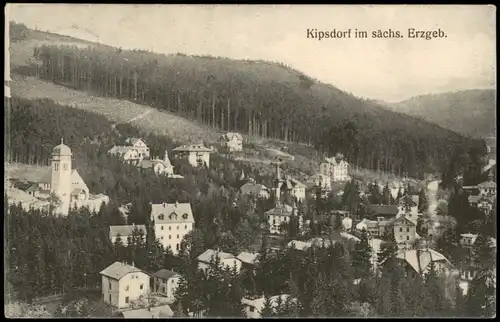 Ansichtskarte Kipsdorf-Altenberg (Erzgebirge) Stadtpartie 1909