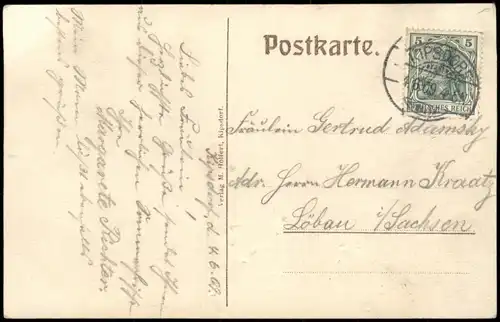 Ansichtskarte Kipsdorf-Altenberg (Erzgebirge) Stadtpartie 1909