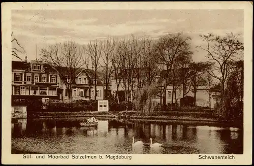 Ansichtskarte Bad Salzelmen-Schönebeck (Elbe) Schwanenteich Partie 1930