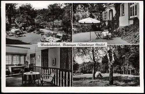 Ansichtskarte Bispingen MB Gaststätte Wacholderhof 1957    Landpoststempel 20