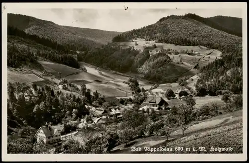 Ansichtskarte Bad Rippoldsau-Bad Rippoldsau-Schapbach Stadtpartie 1937