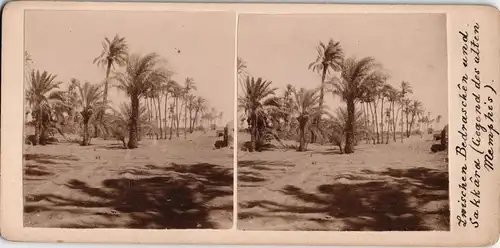 Bedraschen Sakkara Ägypten Egypt Memphis CDV Kabinettfoto 1909 Stereoskopie