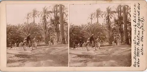 Egypt Ägypten Memphis Typen Oase CDV Kabinettfoto 1909 Privatfoto Stereoskopie